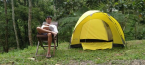 Joben Healing Forest
